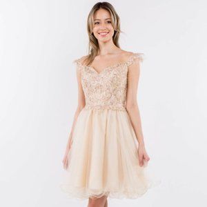 NEW SHORT BABY DOLL OFF SHOULDER SLEEVELESS MESH DRESS WITH ZIPPER BACK GL1966